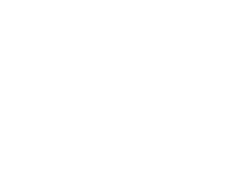 Telephone icon